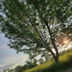 Meet your Posher, Aleyah